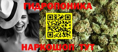 ПСИЛОЦИБИНОВЫЕ ГРИБЫ Свободный